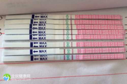 囊胚性别选择技术解析与助孕应用探讨