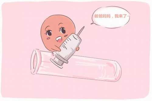 什么是供卵试管婴儿？一文讲清定义、流程与常见误区