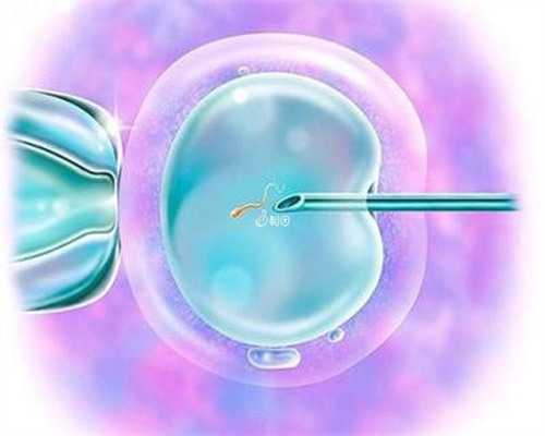 同性恋为何选择海外代怀生子的原因解析